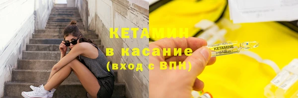 дмт Бородино