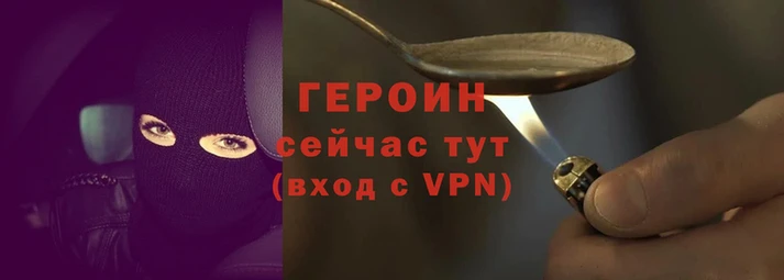 дмт Бородино