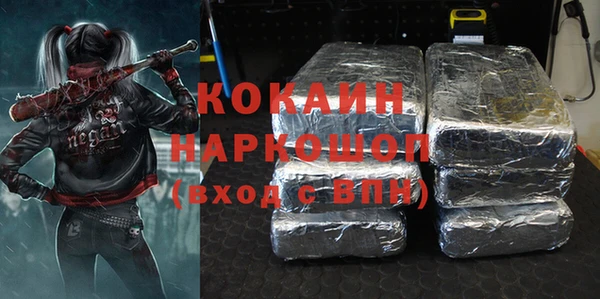 дмт Бородино