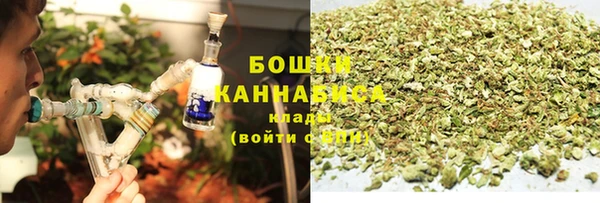 сатива Бронницы