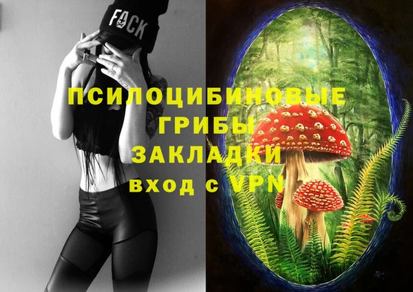 сатива Бронницы