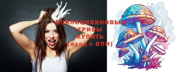 альфа пвп Нягань