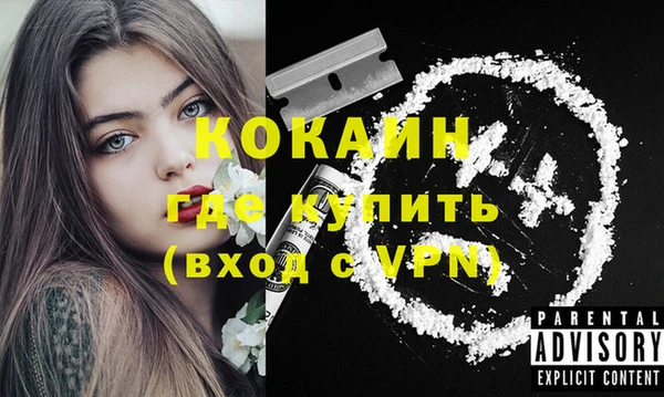 сатива Бронницы
