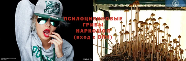сатива Бронницы